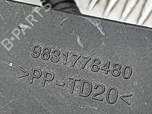 Wiring harness PEUGEOT 2008 II (UD_, US_, UY_, UJ_, UR_, UC_) e-2008 (UKZKXZ) | BP30131241E16 