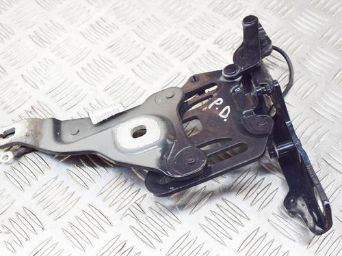 Hinge/Door check strap BMW X5 (E70) xDrive 30 d | BP14618391C146 