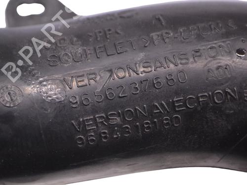 Pipe PEUGEOT RCZ 1.6 16V | BP33355832M125 - Image 5