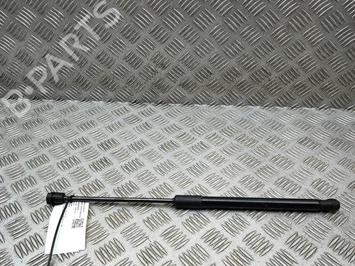 Amortiguador capot Amortiguador capot AUDI Q5 (FYB, FYG) 2.0 TDI quattro (190 hp) 36391172 36391172