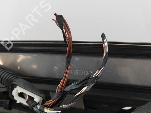 Tailgate SKODA ENYAQ iV SUV (5AZ) 80 | BP31810244C6 