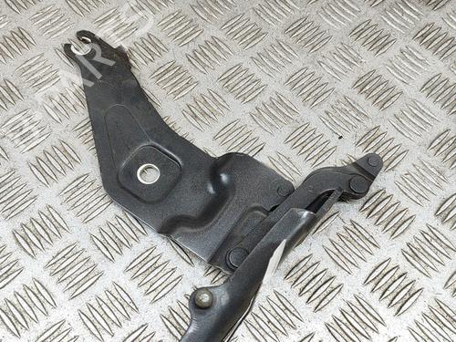 Hinge/Door check strap BMW X5 (E70) xDrive 40 d | BP19280931C146 