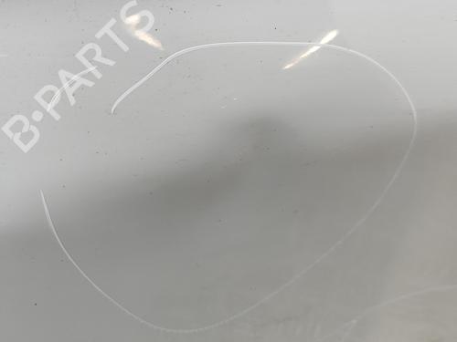 Left rear door VW TRANSPORTER T6 Van (SGA, SGH, SHA, SHH) 2.0 TDI | BP29945209C4