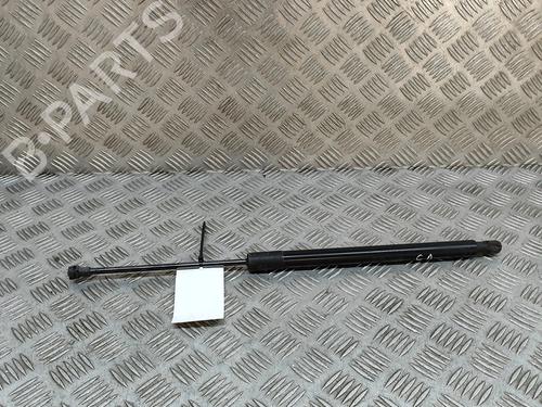 Used Tailgate lift support VW GOLF VII (5G1, BQ1, BE1, BE2) 2.0 R 4motion (300 hp) 19282712