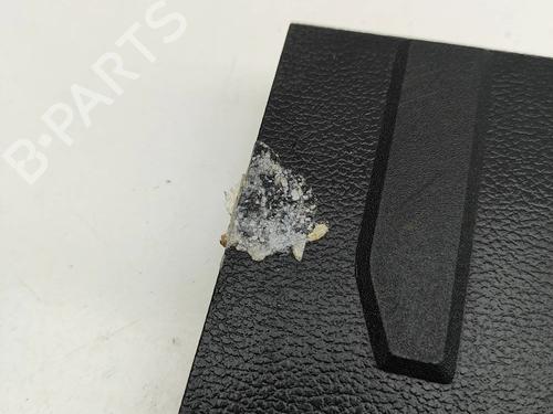 Step FORD USA F-150 Crew Cab Pickup 3.5 4WD | BP32421013C149 