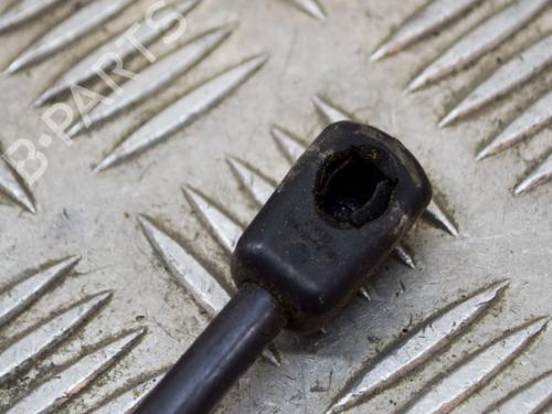 Hood lift support LAND ROVER RANGE ROVER EVOQUE (L538) 2.0 D 4x4 | BP14635792C139