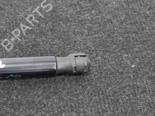 Hood lift support LAND ROVER RANGE ROVER EVOQUE (L538) 2.0 D 4x4 | BP14667070C139 