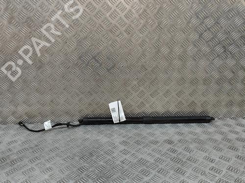 Used Tailgate lift support Tailgate lift support LAND ROVER RANGE ROVER EVOQUE (L538) 2.0 D (150 hp) 23415529 23415529