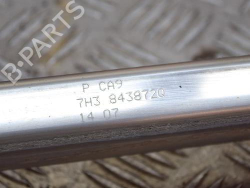 Hinge/Door check strap VW TRANSPORTER T5 Van (7HA, 7HH, 7EA, 7EH) 2.5 TDI | BP14630910C146 