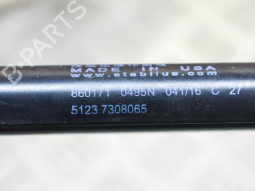 Hood lift support BMW X5 (F15, F85) xDrive 30 d | BP14620995C139 