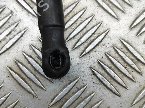 Hood lift support VOLVO V70 III (135) D4 | BP29830417C139 