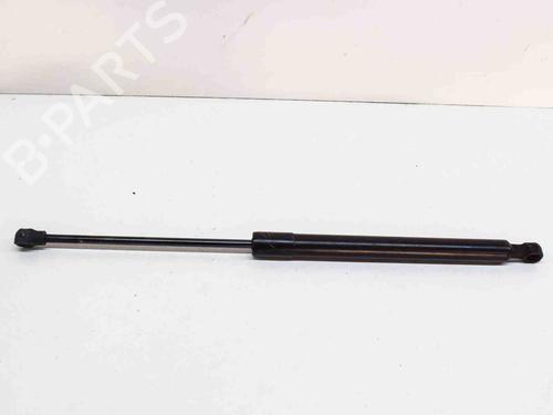 Used Tailgate lift support RENAULT ZOE (BFM_) ZOE (88 hp) 14620031