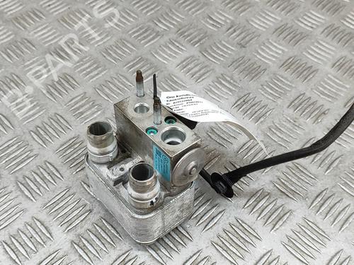 Electronic module PEUGEOT 2008 II (UD_, US_, UY_, UJ_, UR_, UC_) e-2008 (UKZKXZ) | BP27785974M83 