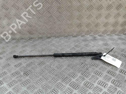 Used Hood lift support LEXUS NX (_Z1_) 300h AWD (AYZ15_, AYZ15R) (197 hp) 28432685