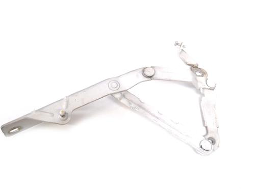 hingedoor-check-strap-audi-tt-8j3-2006-2007-2008-2009-2010-2011-2012-2013-2014-2015-30222191 main image