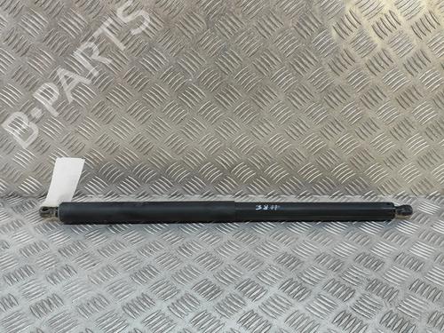 Gasdæmper bagklap TESLA MODEL Y (5YJY) EV Performance All-wheel Drive (462 hp) 28558148