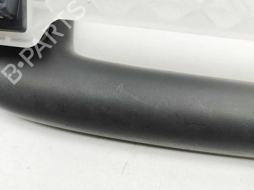 Håndtag i tag VW GOLF VIII (CD1, DA1) 2.0 TDI GTD | BP31748675I35 