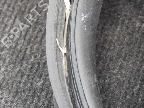 Rubber door seal TESLA MODEL X (5YJX) 90D AWD | BP20233144C142 