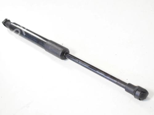 hood-lift-support-bmw-5-gran-turismo-f07-2009-2010-2011-2012-2013-2014-2015-2016-2017-30207641 main image