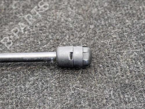 Hood lift support BMW 1 (F20) 120 d | BP14667239C139