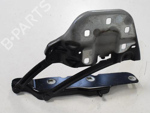 Hinge/Door check strap LAND ROVER RANGE ROVER VELAR (L560) 2.0 P300 Si4 4x4 | BP30207932C146