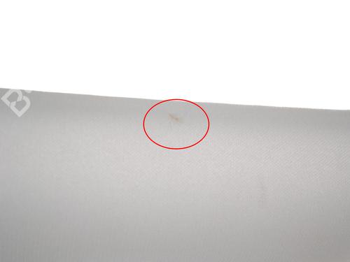 Interior roof TESLA MODEL 3 (5YJ3) EV Performance AWD | BP33366227I12  - Image 8