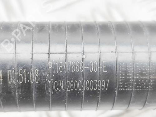 Pipe TESLA MODEL 3 (5YJ3) EV | BP38515740M125 - Image 7