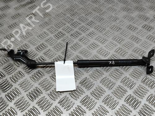 Hood lift support TESLA MODEL 3 (5YJ3) EV AWD | BP28554490C139 