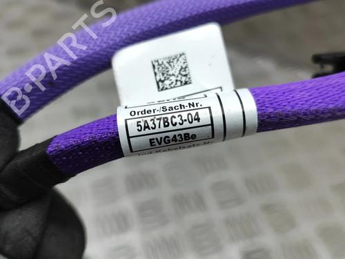 Electronic module BMW X5 (G05, F95) xDrive 30 d Mild-Hybrid | BP31592667M83 