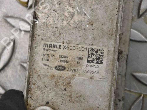 Oil radiator MERCEDES-BENZ E-CLASS (W213) AMG E 63 S 4-matic+ (213.089) | BP30235517M33