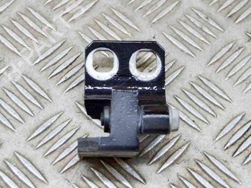 Hinge/Door check strap MASERATI QUATTROPORTE VI 3.0 S Q4 | BP14644250C146 