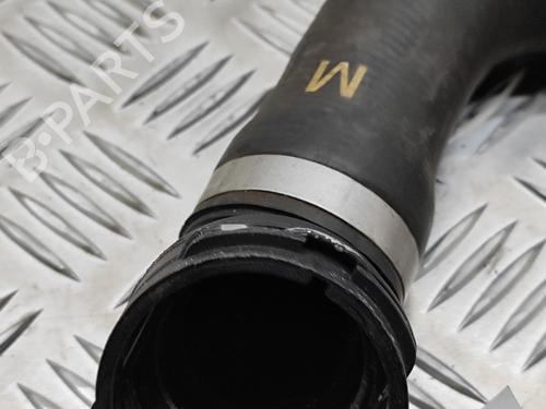 Pipe BMW 7 (G11, G12) 730 d | BP19500629M125 