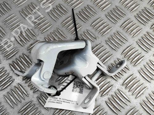 Hinge/Door check strap KIA CEED (CD) 1.5 T-GDI | BP29392120C146