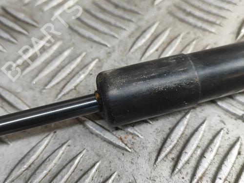 Tailgate lift support VW TIGUAN (5N_) 2.0 TDI 4motion | BP27217247C138 