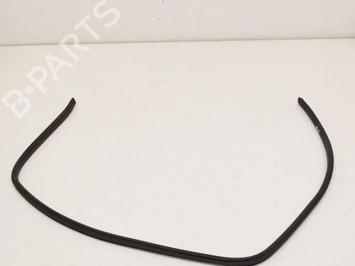 Gummiliste BMW 1 Convertible (E88) 135 i (306 hp) 14664871