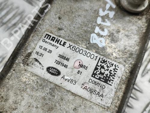 Oil radiator JAGUAR F-TYPE Coupe (X152) 5.0 SCV8 R AWD | BP26710714M33 