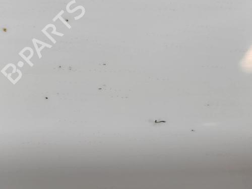 Tailgate BMW X5 (F15, F85) xDrive 30 d | BP27533070C6