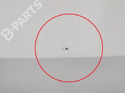 Left rear door panel VOLVO S90 II (234) D4 | BP7797801C60  - Image 7