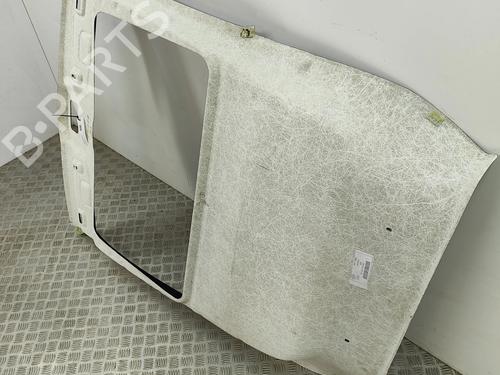 Tecto interior FIAT 500 (312_) 1.0 Mild Hybrid (312.AYD1B) | BP28566137I12