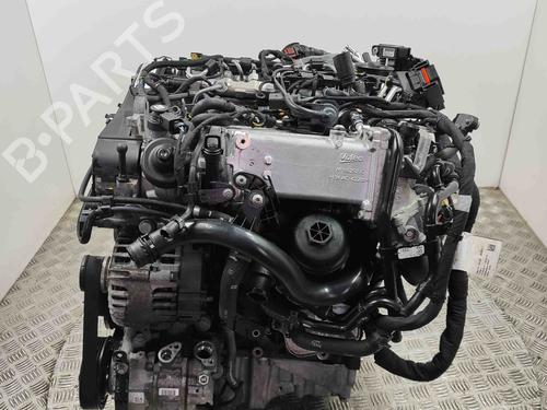Engine AUDI A4 B9 (8W2, 8WC) 2.0 TDI quattro | BP25788546M1