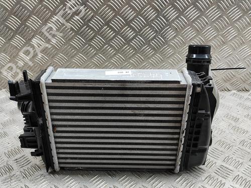 Intercooler NISSAN JUKE (F16_) DIG-T 117 (117 hp) 28430961