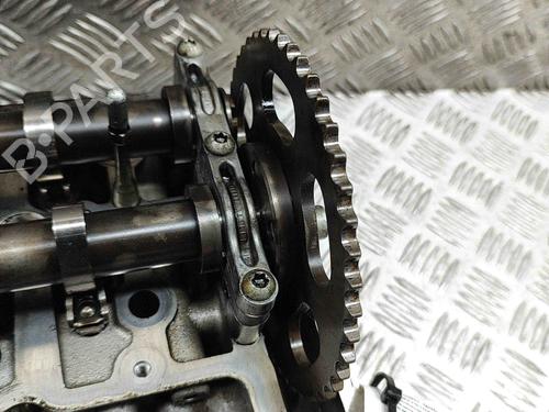 Cylinder head VW TOUAREG (7P5, 7P6) 3.0 V6 TDI | BP21487033M5 