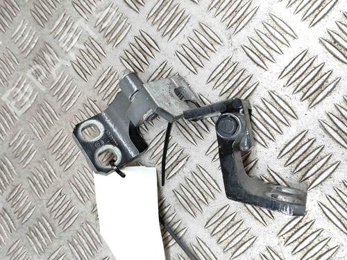 Hinge/Door check strap MASERATI GHIBLI III (M157) 3.0 | BP23562520C146 