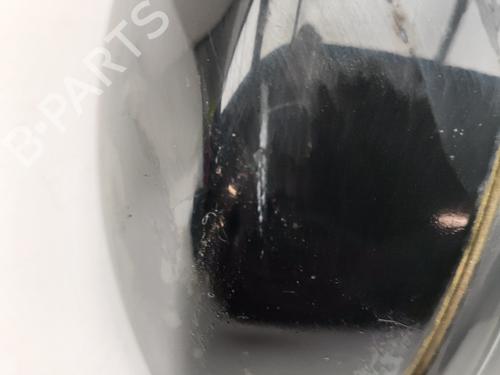 Right mirror LAND ROVER RANGE ROVER EVOQUE (L538) 2.2 D 4x4 | BP29753245C27 