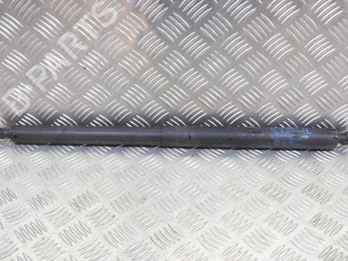 Used Tailgate lift support BMW X1 (F48) xDrive 20 i (192 hp) 20231562