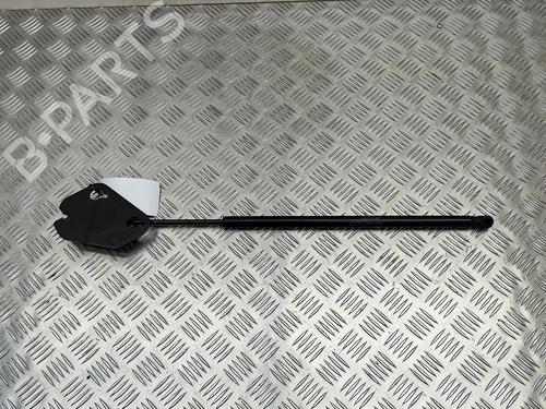 Tailgate lift support JAGUAR XJ (X351) 3.0 SCV6 | BP19501665C138