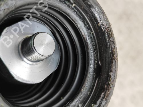 Other FORD RANGER (TKE) 2.0 EcoBlue 4x4 | BP29975125O1 