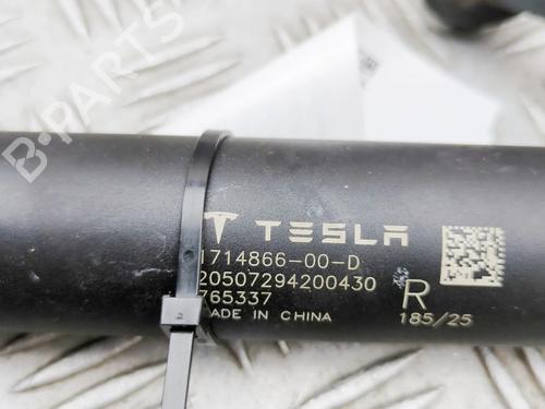 Gasdæmper bagklap TESLA MODEL 3 (5YJ3) EV | BP38467017C138  - Image 6