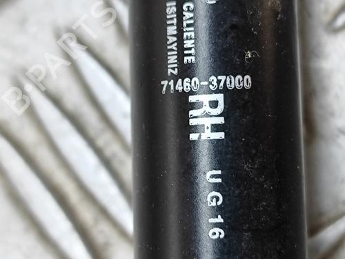 Gassdemper Bakluke SSANGYONG KORANDO (C300) E-Motion | BP27776790C138 