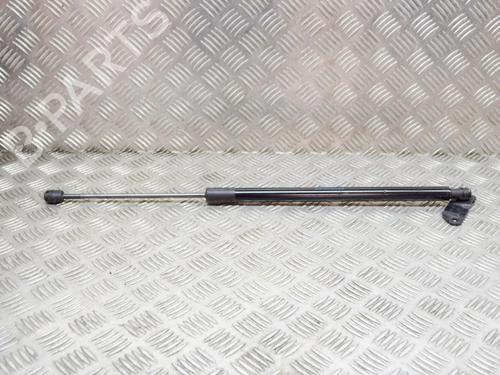 Used Tailgate lift support Tailgate lift support VW TIGUAN (AD1, AX1) 1.4 TSI (125 hp) 14638123 14638123